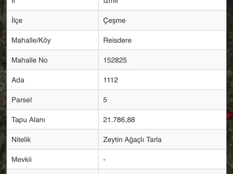 Çeşme Reisdere'de 21.786 m² Zeytinlik Satılık Tarla — fotoğraf 1