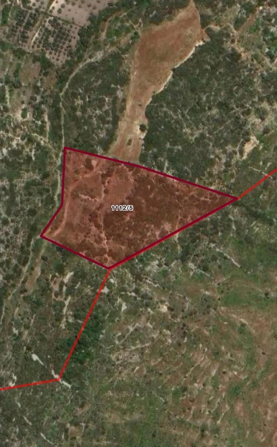 Çeşme Reisdere'de 21.786 m² Zeytinlik Satılık Tarla — fotoğraf 2