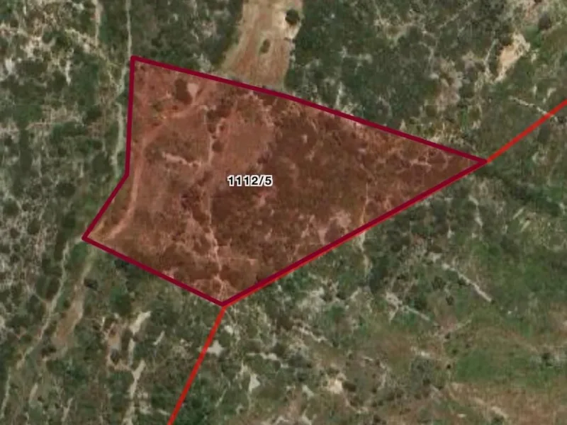 Çeşme Reisdere'de 21.786 m² Zeytinlik Satılık Tarla — fotoğraf 2