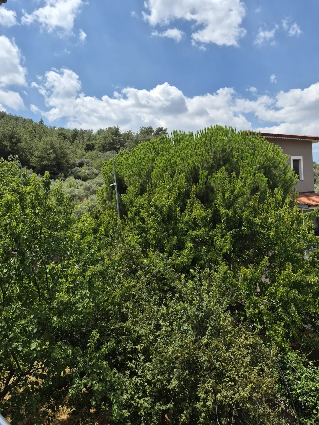Kemalpaşa Çınarköy Konakları'nda Kiralık 3+2 Triplex Villa — fotoğraf 17