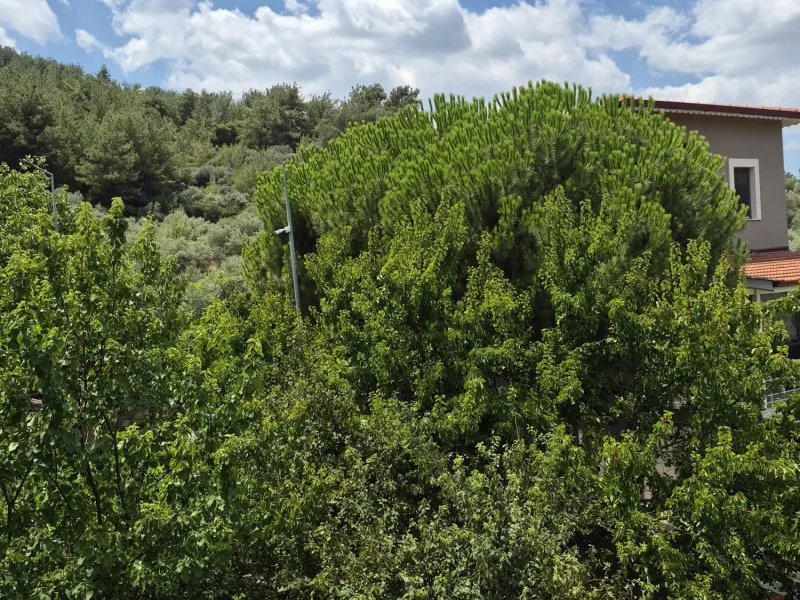 Kemalpaşa Çınarköy Konakları'nda Kiralık 3+2 Triplex Villa — fotoğraf 17